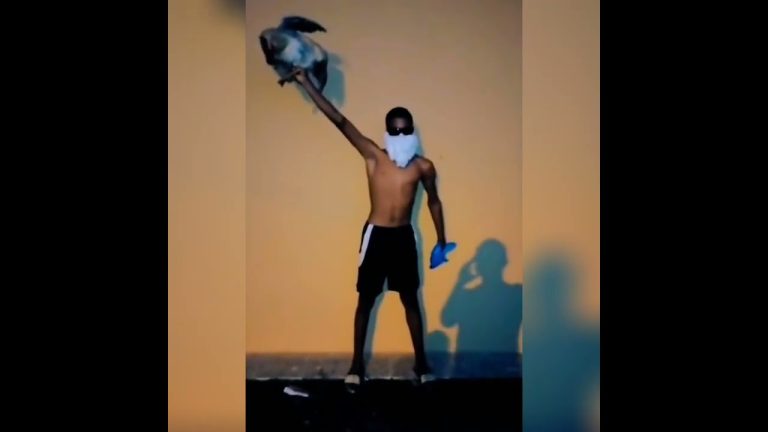 como obtener nuevas skins en free fire